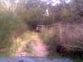 Garry River - Track1.jpg
